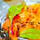 Thumbnail: Break pepper-生-（3L）200g